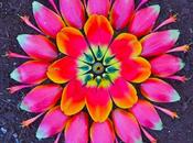 Mandalas flores: arte fotográfico Kathy Klein