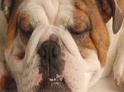 Arrugas: Descubriendo Causas