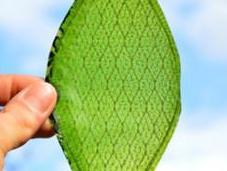 primera hoja artificial