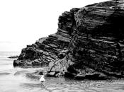 blanco negro o...