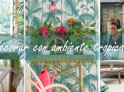 Decorar ambiente tropical look rebajas