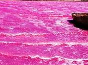 lago Hiller misterioso color rosa