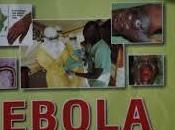 claros oscuros “suero milagroso” probado Miguel Pajares #ébola