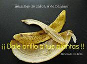 Reciclaje cascara banano para brillo plantas