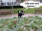 Estamos Agustito LVI. Territorio