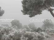 Photosatriani vacaciones regalo…