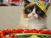 Feliz Cumpleee Siwan!!!