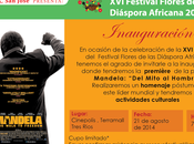 pueden anarse pero dónde harán nido...