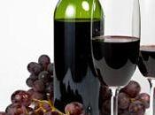 radiación ultravioleta puede mejorar composición calidad vino