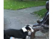 VIDEO: perro entiende estatua quiere jugar