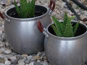 Jardinería abuela: Reutiliza ollas viejas como macetas