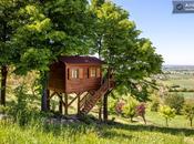 Caseta Rustica Monferrato Tiny House