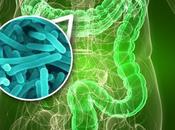 bacterias intestinales pueden prevenir alergias