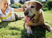 Enseñar niños cómo actuar perros