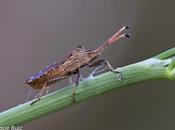 Macro 2014
