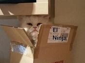 Estamos Agustito LVIII. Modo Ninja