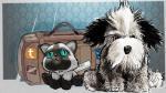 Viajar mascota