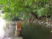 Aguas Calientes, Dulce