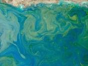 Impresionante color verde esmeralda puede anunciar desastres ecosistema Arábigo