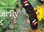 Butterfly park, parque mariposas Costa Brava