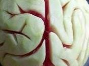 Great Melon Brain