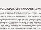 Nuevos coleópteros carábidos cuevas Serbia