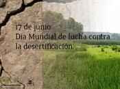 junio, mundial lucha contra desertificación