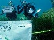 Sublimits Espai Terra
