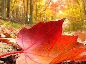 significado soñar Otoño según circunstancias personales