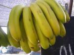 Beneficios fruta. platano