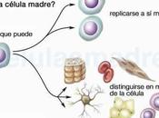 Comparación terapias celulares: Clonación terapéutica células