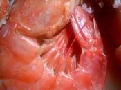 Gambones Microondas