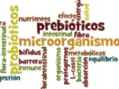 ¿Qué probióticos cuáles beneficios?