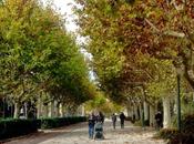 Otoño adiós