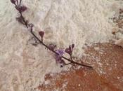 compartimos...objetos cotidianos