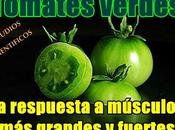 Tomates verdes: respuesta músculos grandes fuertes