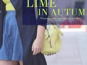 Lime autumn
