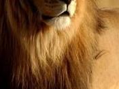 móvil Shutter para capturar fotos, vídeo espacio ilimitado nube, ahora Android!