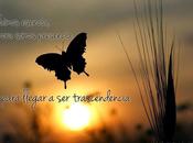 busqueda trascendencia