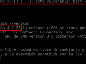 Shellshock, nuevo peligroso Bash