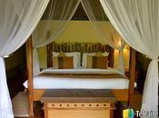 Glamping camping lujo