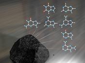 Bases nitrogenadas meteoritos