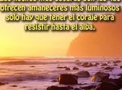 Tendrás Coraje…
