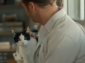 gato puede cambiar vida