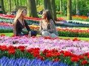Viaje Amsterdan Disfrute Magia Floral