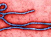 Ébola: Estoy irracionalmente preocupado hijos