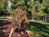Autumn cape
