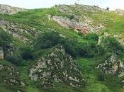 Pico Priena