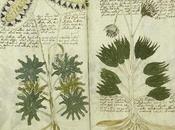 Manuscrito Voynich: Nuevos descubrimientos