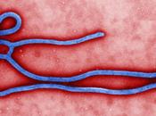 Todo querías saber sobre ébola